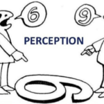 Perception What is perception