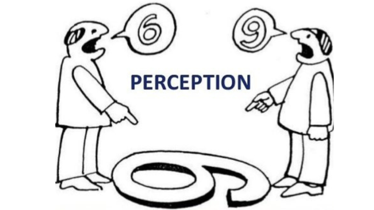 Perception What is perception